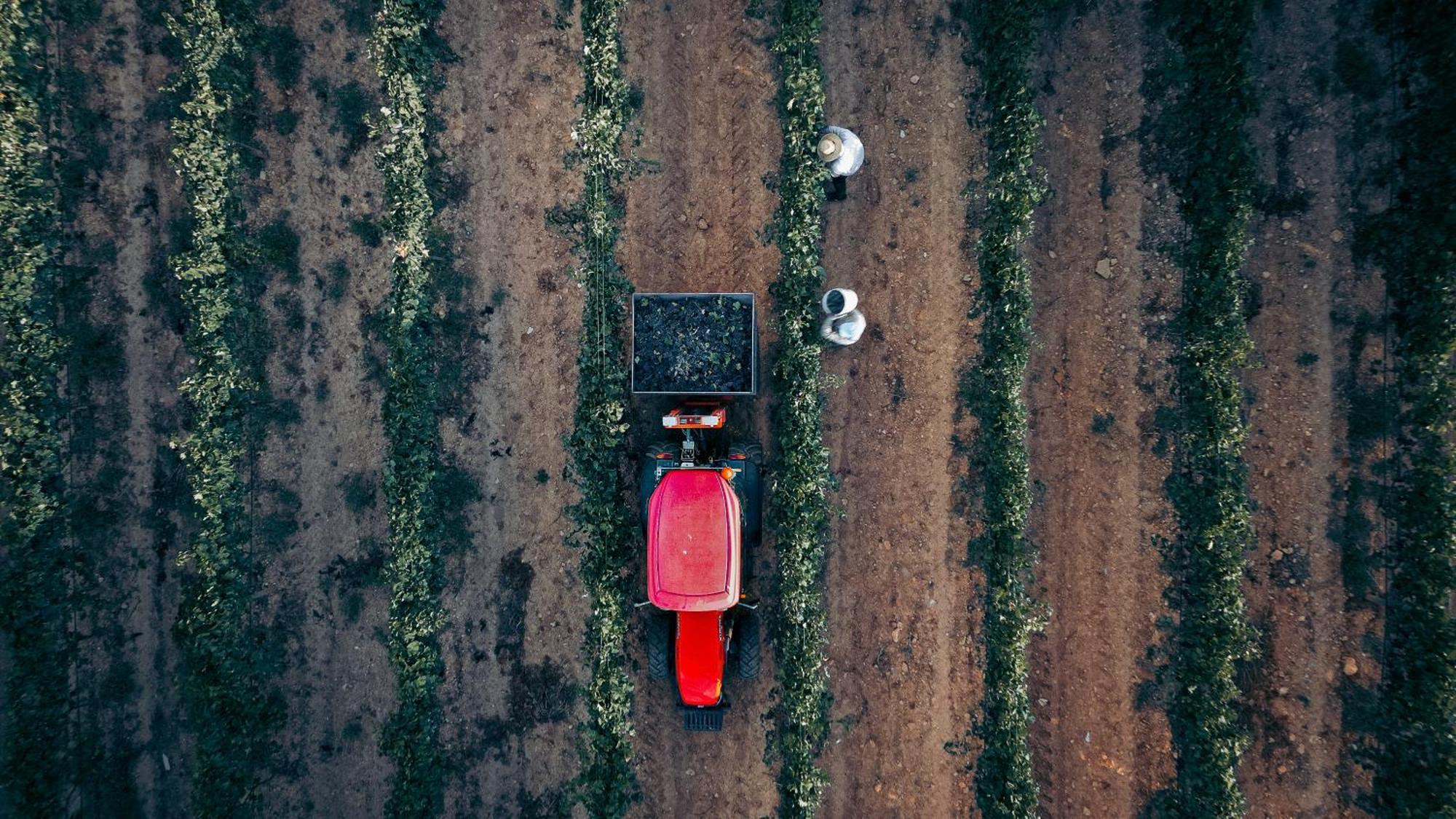 Finca Es Cabas سانتا ماريا ديل كامي المظهر الخارجي الصورة