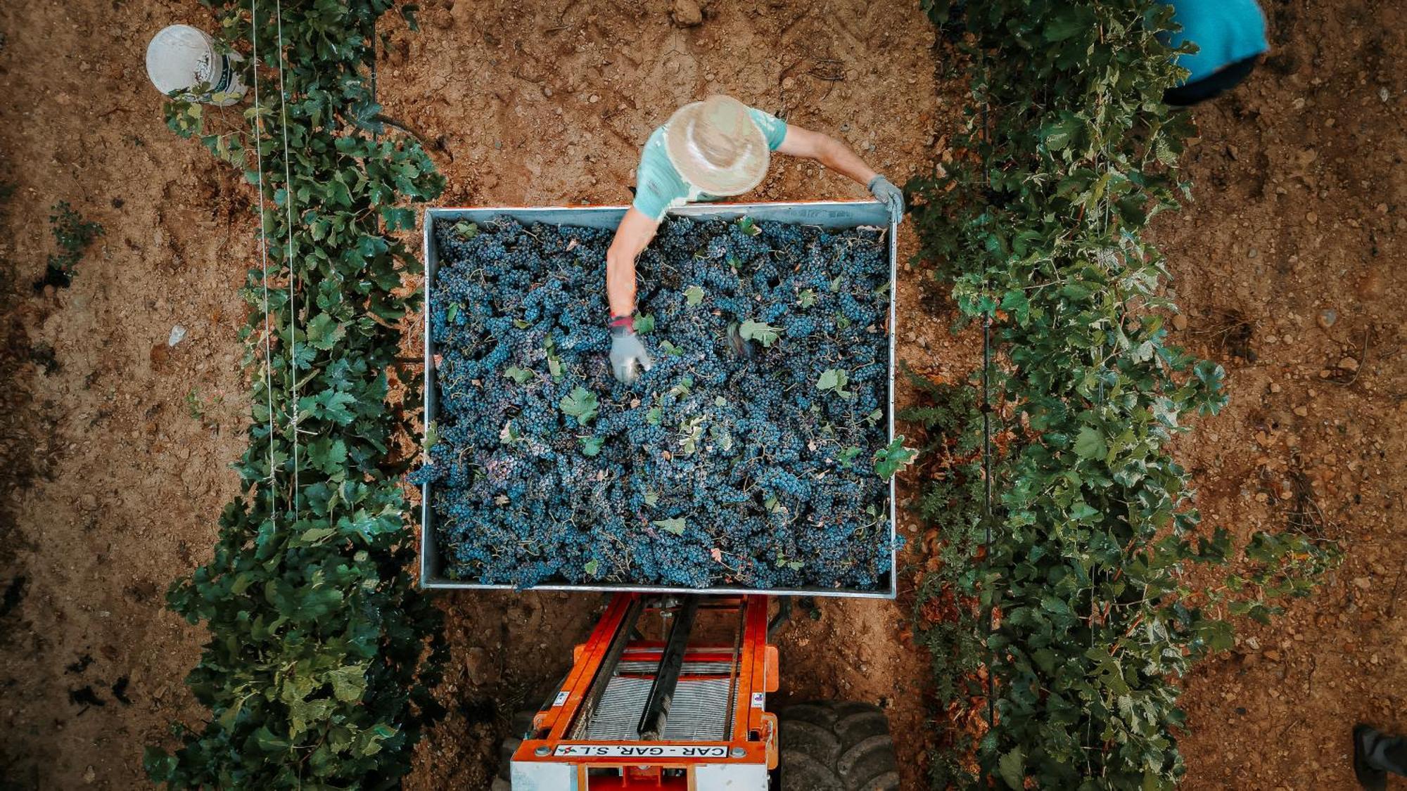 Finca Es Cabas سانتا ماريا ديل كامي المظهر الخارجي الصورة