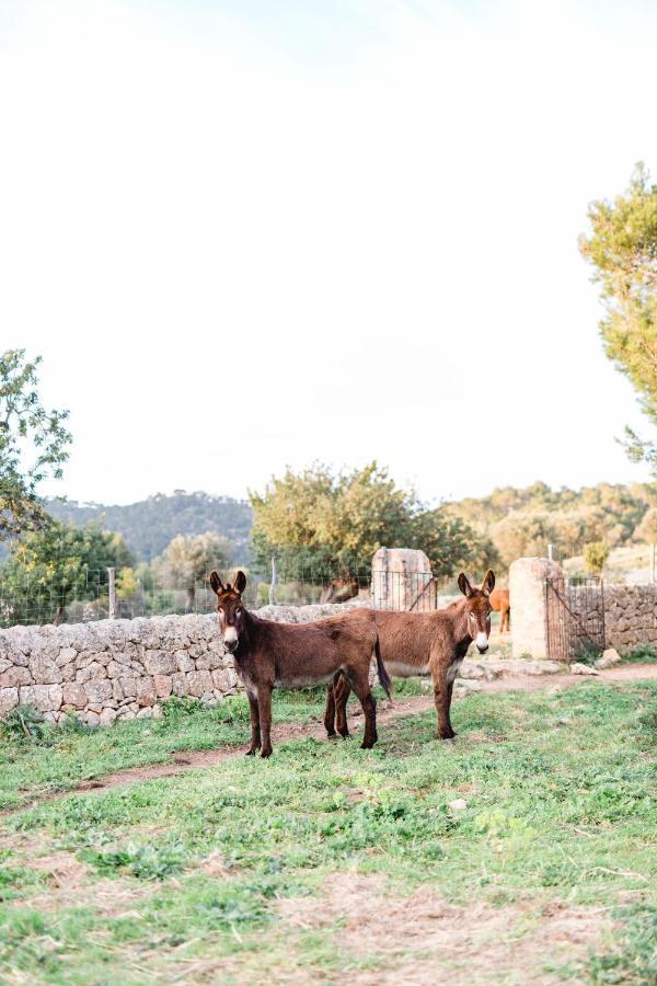 Finca Es Cabas سانتا ماريا ديل كامي المظهر الخارجي الصورة