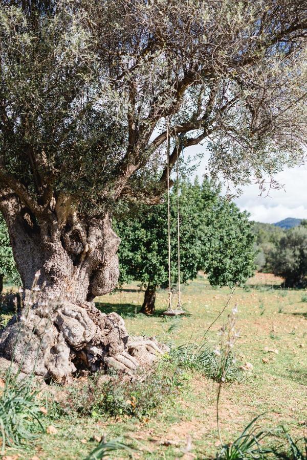 Finca Es Cabas سانتا ماريا ديل كامي المظهر الخارجي الصورة