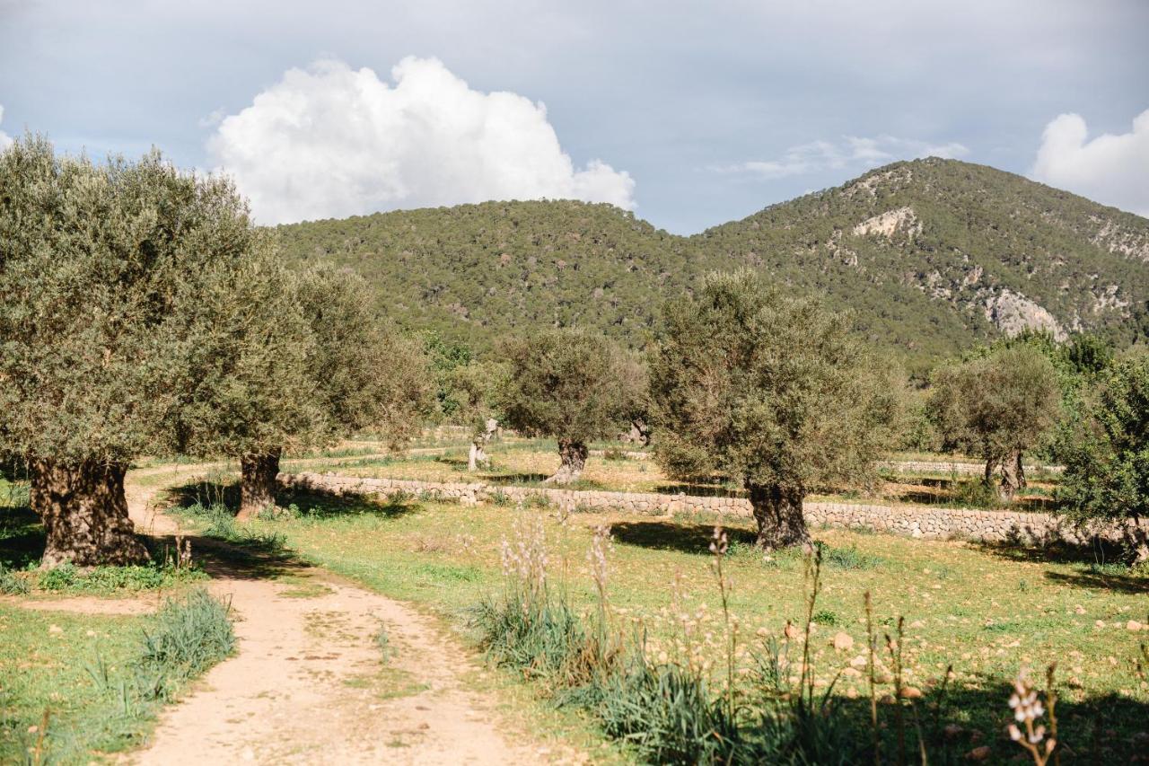 Finca Es Cabas سانتا ماريا ديل كامي المظهر الخارجي الصورة